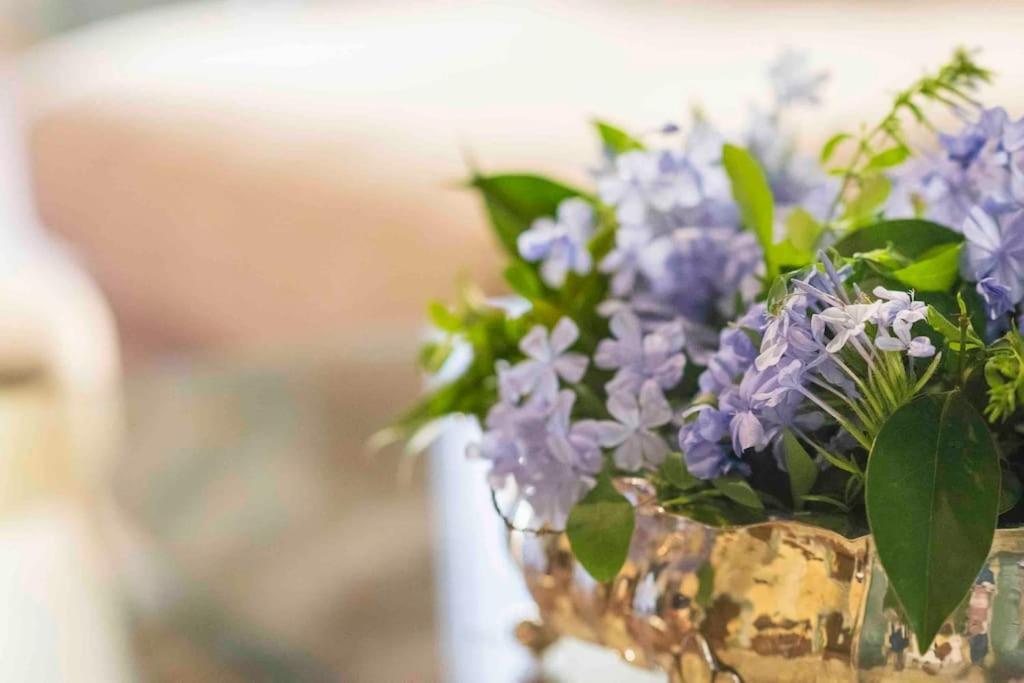 Ginny’s House- Borgo La Croce Luxury * Florencia